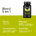 Diseño sin título (4).webp