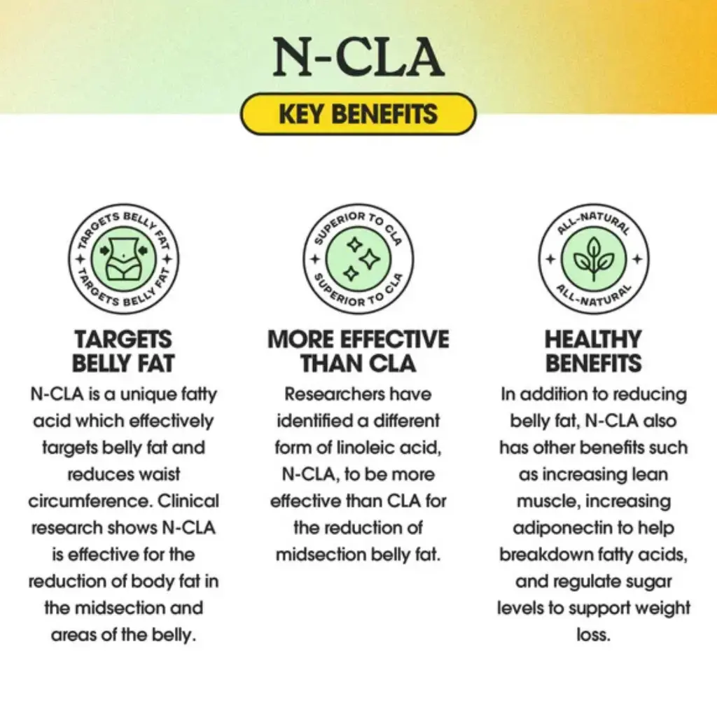 Diseño sin título - 2026-02-10T145206.044.webp