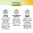 Diseño sin título - 2026-02-10T145206.044.webp