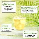 Diseño sin título - 2026-02-18T153442.669.webp