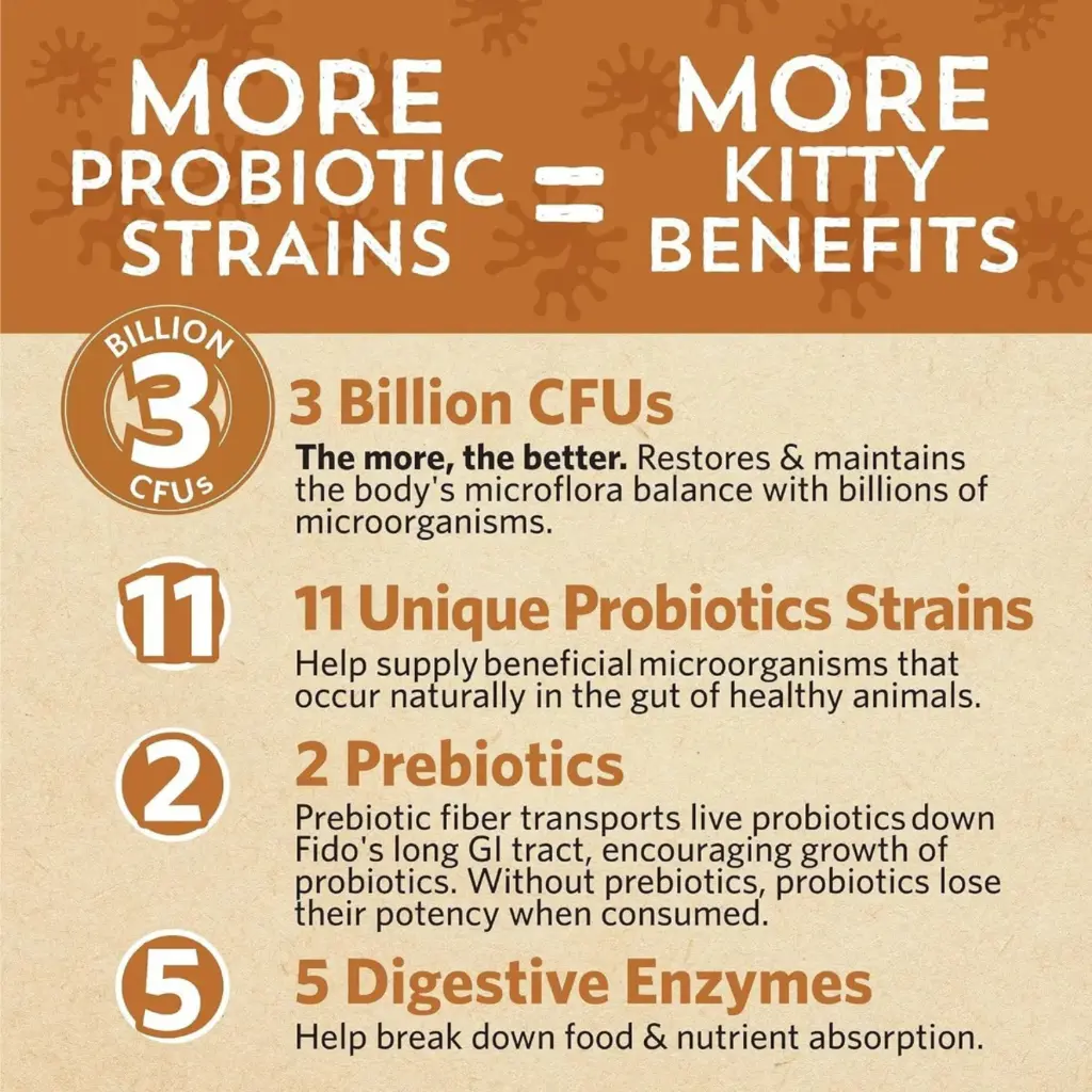 Diseño sin título - 2026-02-21T090638.370.webp