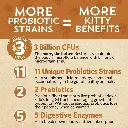 Diseño sin título - 2026-02-21T090638.370.webp