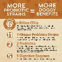 Diseño sin título - 2026-02-21T105548.684.webp