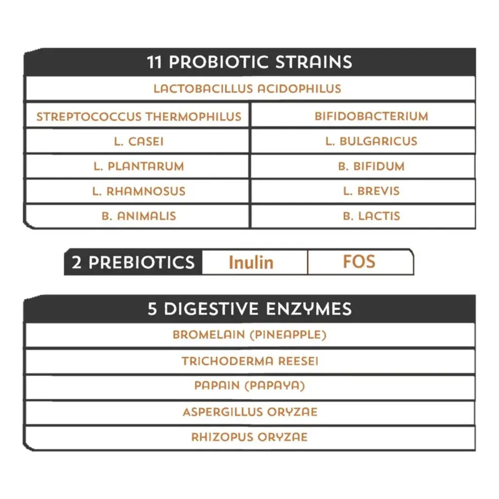 Diseño sin título - 2026-02-21T105449.187.webp