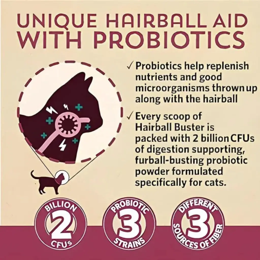 Diseño sin título - 2026-02-21T114634.773.webp