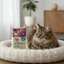 Diseño sin título - 2026-02-21T114655.148.webp