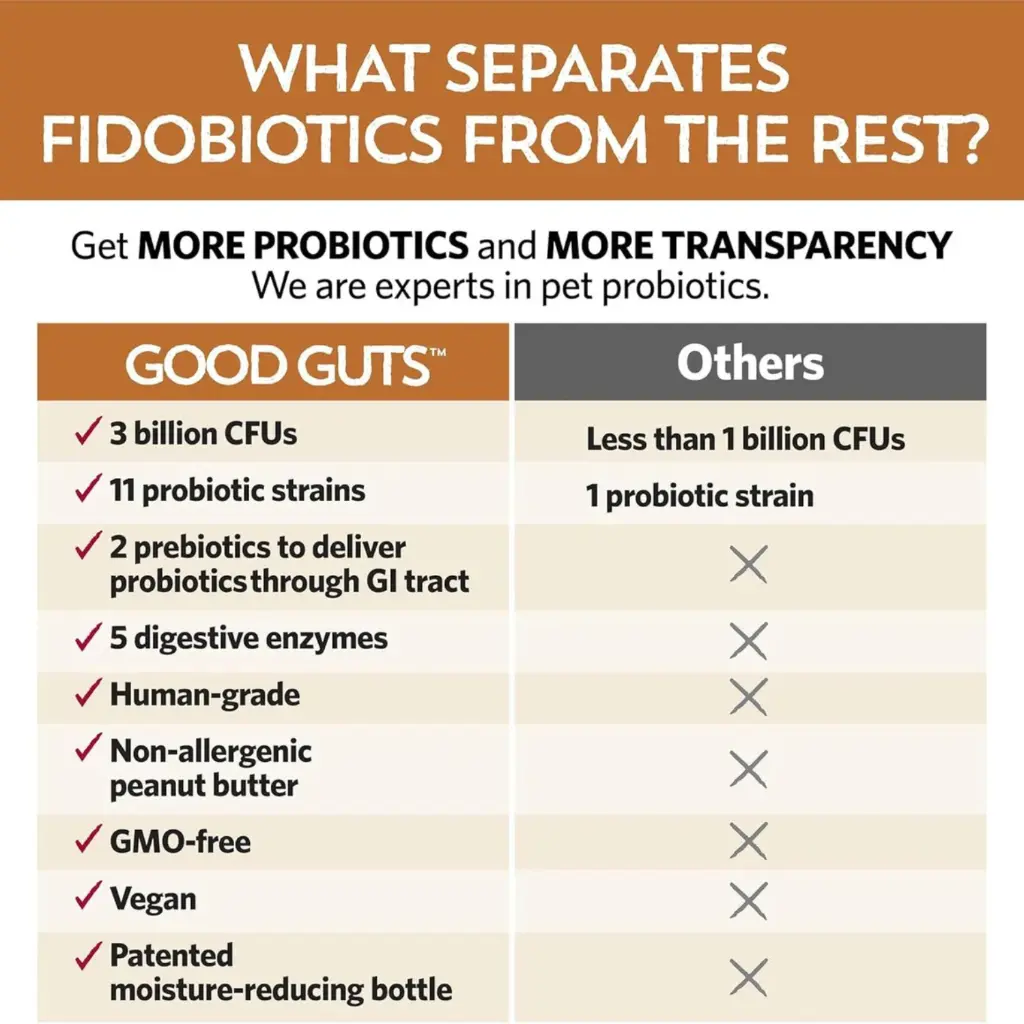 Diseño sin título - 2026-02-21T120550.542.webp
