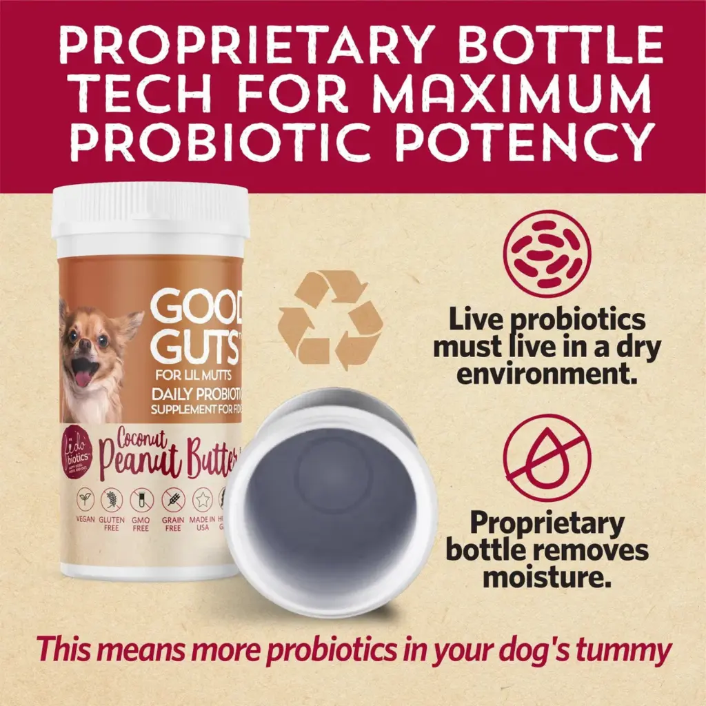 Diseño sin título - 2026-02-21T120429.128.webp