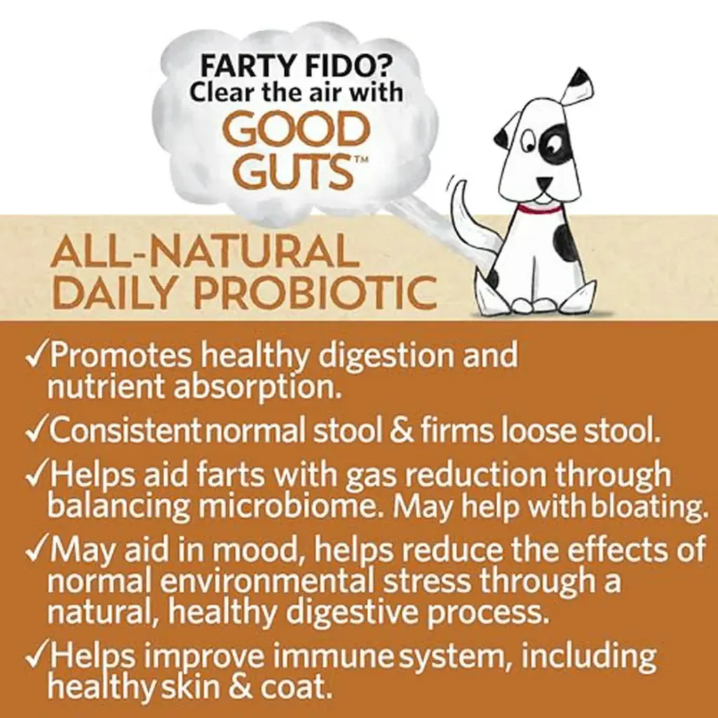 Diseño sin título - 2026-02-21T120402.946.webp