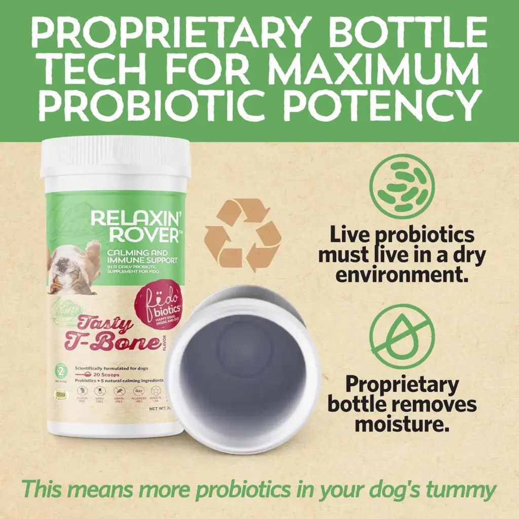 Diseño sin título - 2026-02-21T124658.868.webp