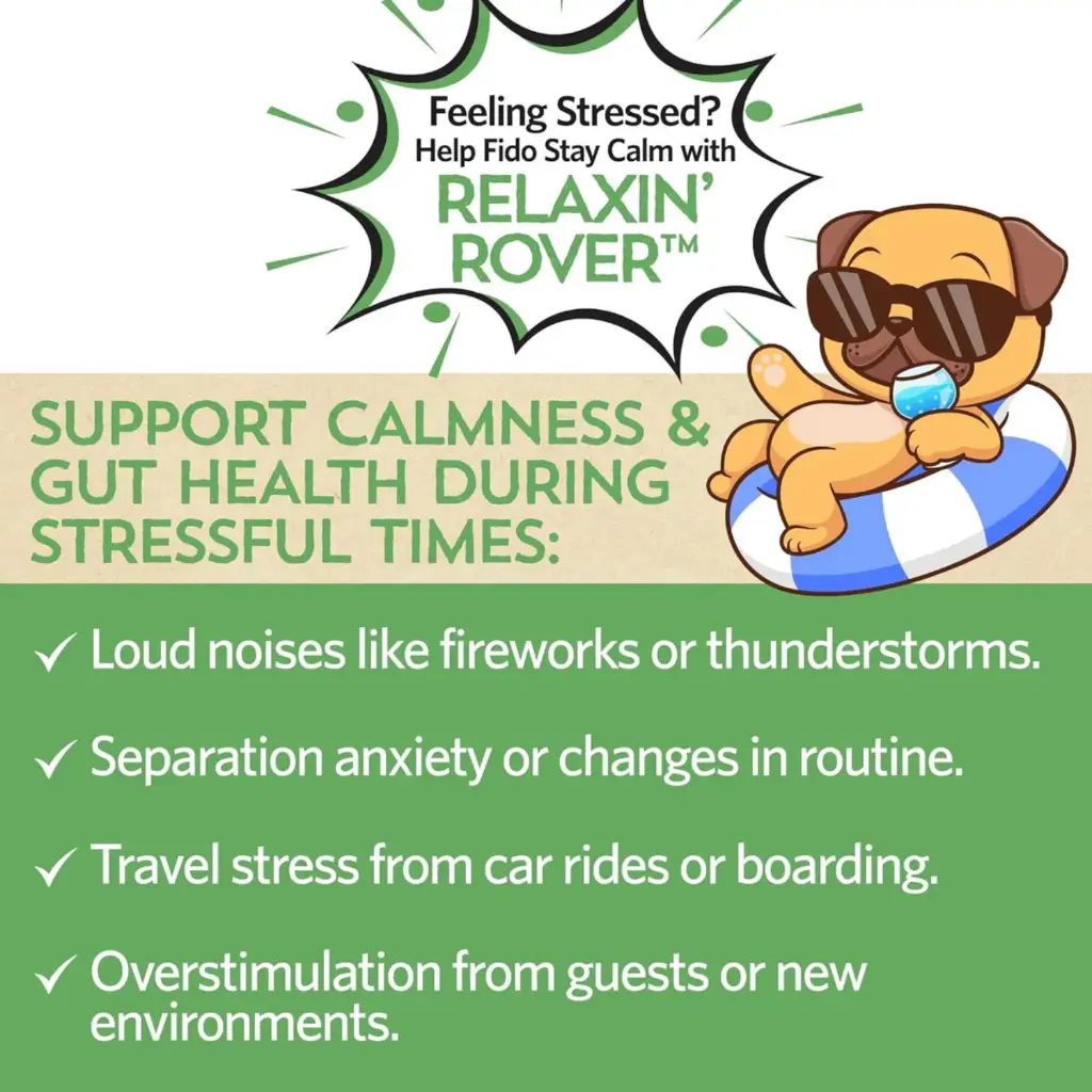 Diseño sin título - 2026-02-21T124607.627.webp