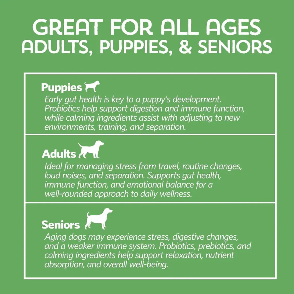 Diseño sin título - 2026-02-21T125042.104.webp