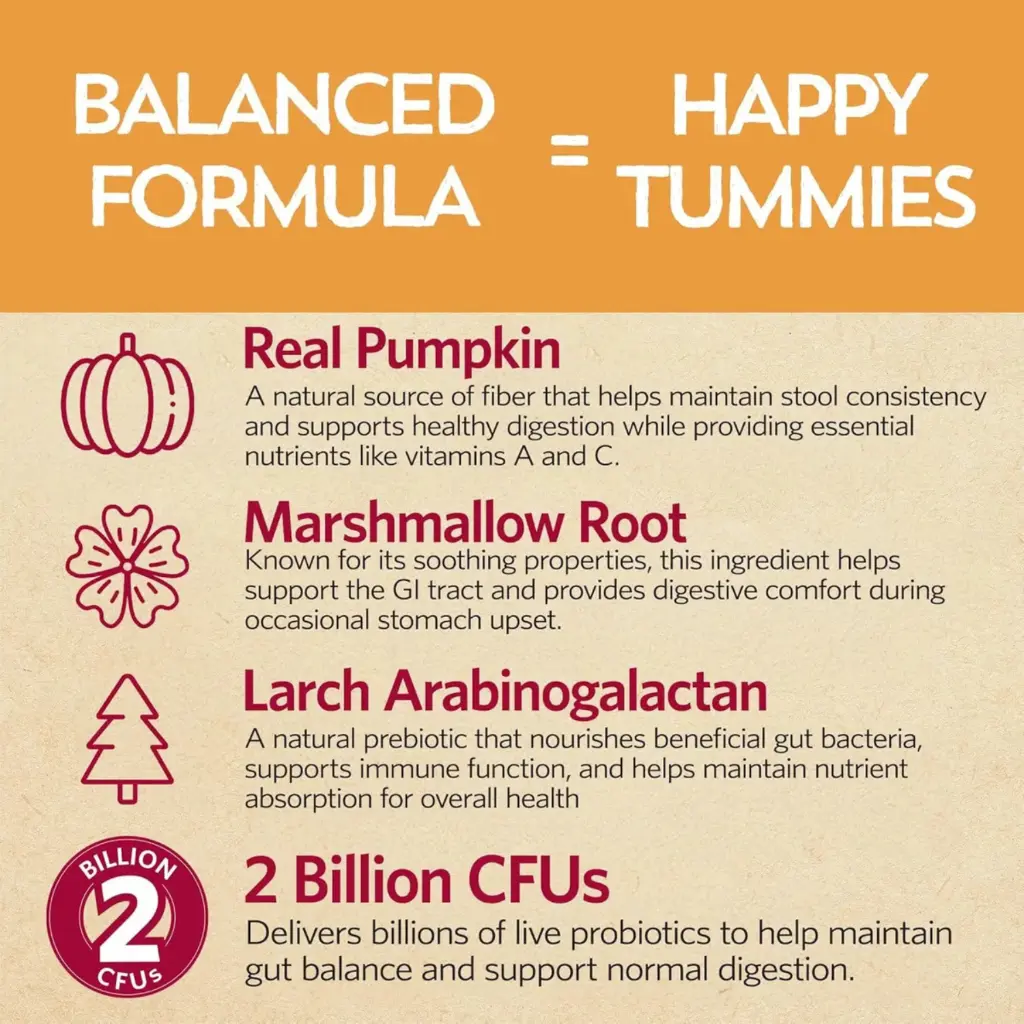 Diseño sin título - 2026-02-23T153206.830.webp