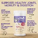 Diseño sin título - 2026-02-23T155619.743.webp