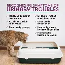 Diseño sin título - 2026-02-23T163025.609.webp