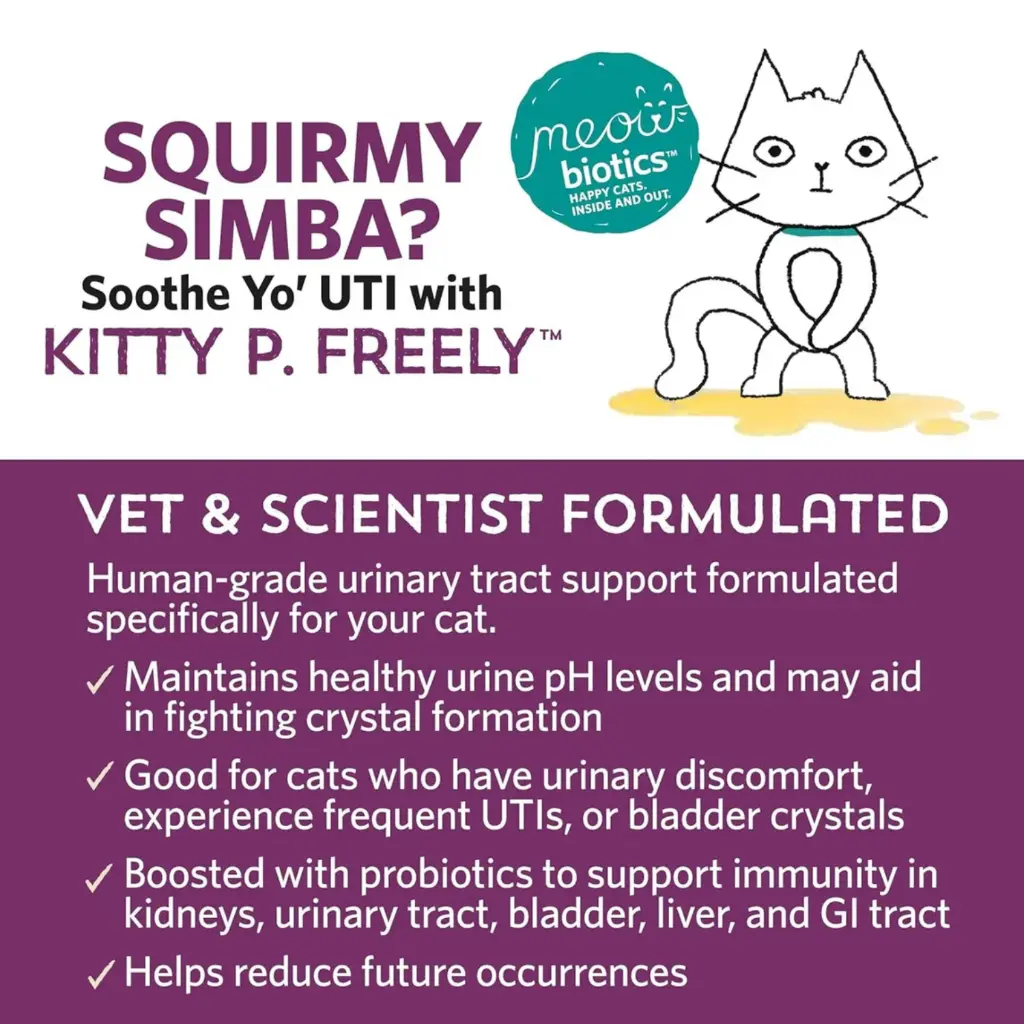 Diseño sin título - 2026-02-23T163002.971.webp