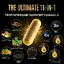 Diseño sin título (16).webp