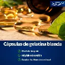 Diseño sin título - 2026-03-06T141513.679.webp