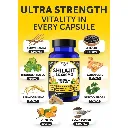 Diseño sin título - 2026-03-31T094624.915.webp