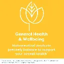 Diseño sin título - 2026-03-31T145901.210.webp