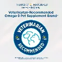 6.webp