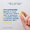 4.webp