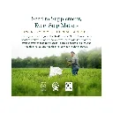 8.webp