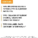 5.webp
