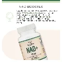 4.webp