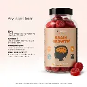 5.webp