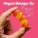 5.webp