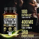 Diseño sin título (66).webp