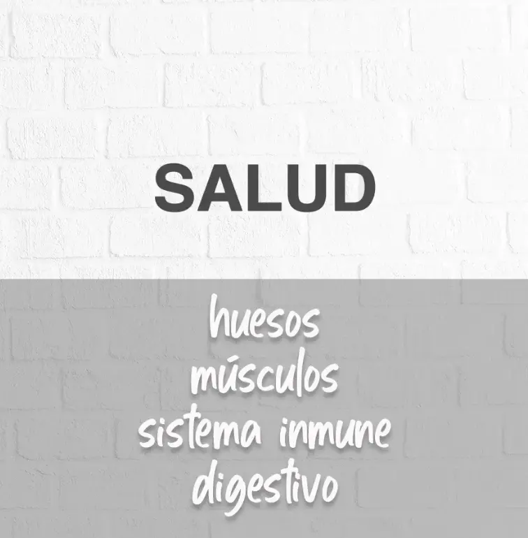 Captura de pantalla 2026-01-06 085147.webp