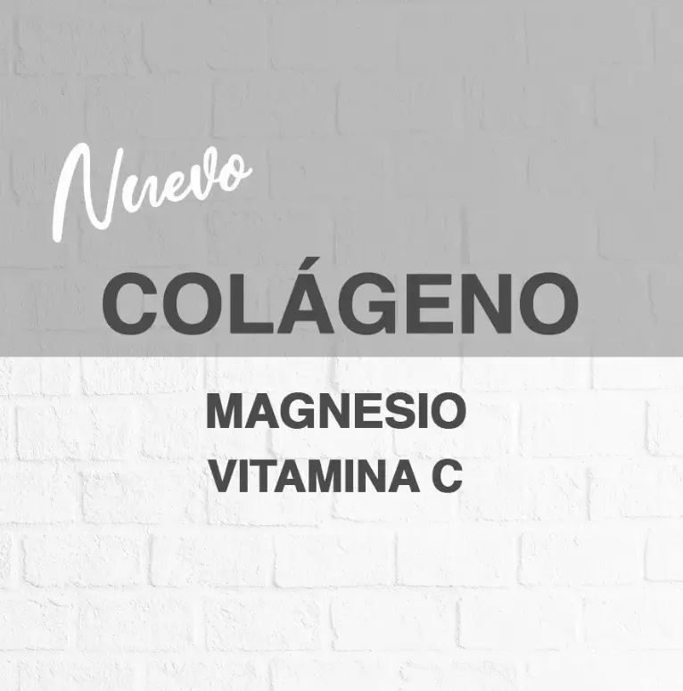 Captura de pantalla 2026-01-06 085142.webp