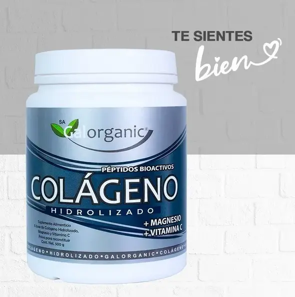 Captura de pantalla 2026-01-06 085134.webp