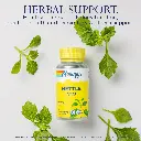 Diseño sin título (5).webp