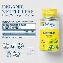 Diseño sin título (4).webp