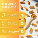 Diseño sin título (4).webp