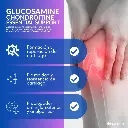 Diseño sin título (3).webp