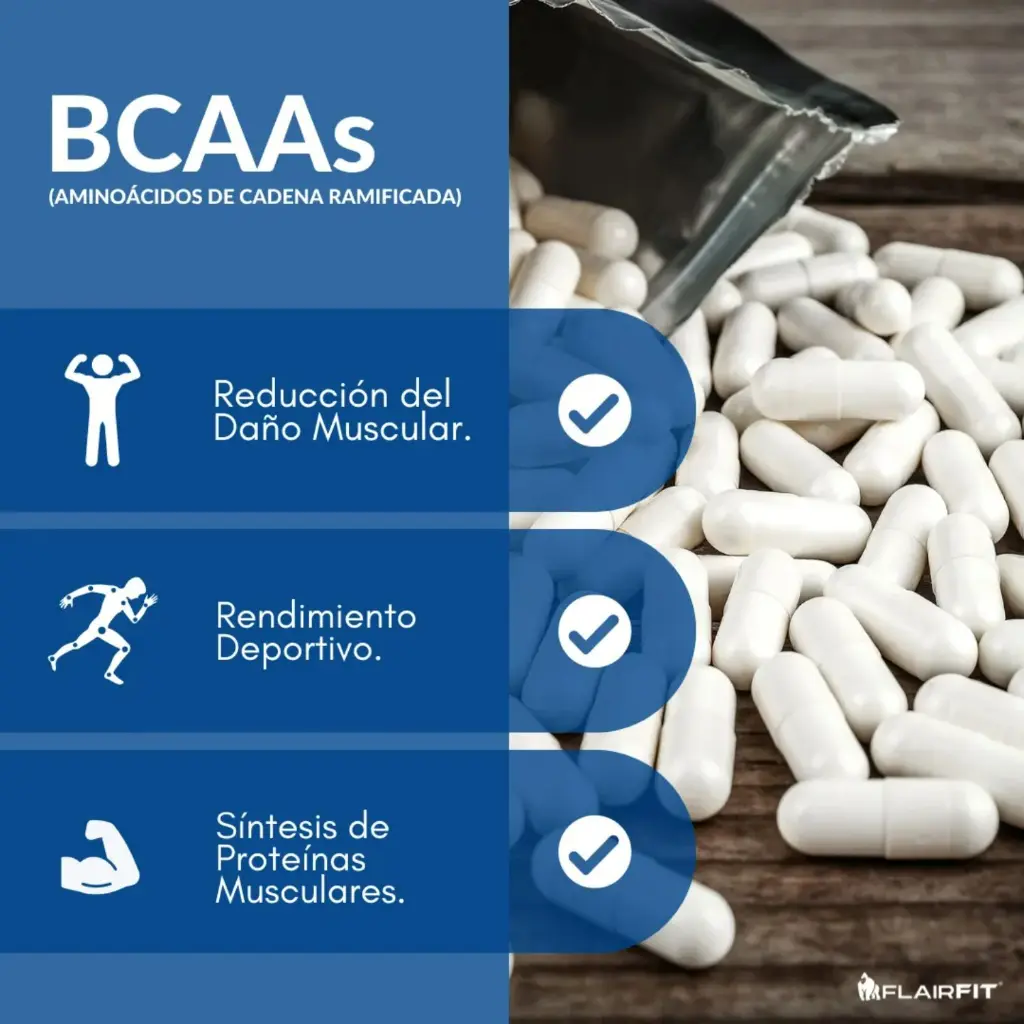 Diseño sin título (3).webp