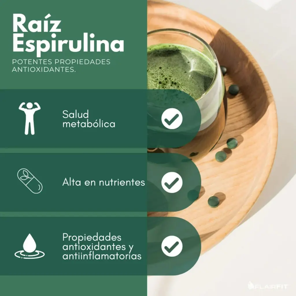 Diseño sin título (3).webp