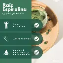 Diseño sin título (3).webp