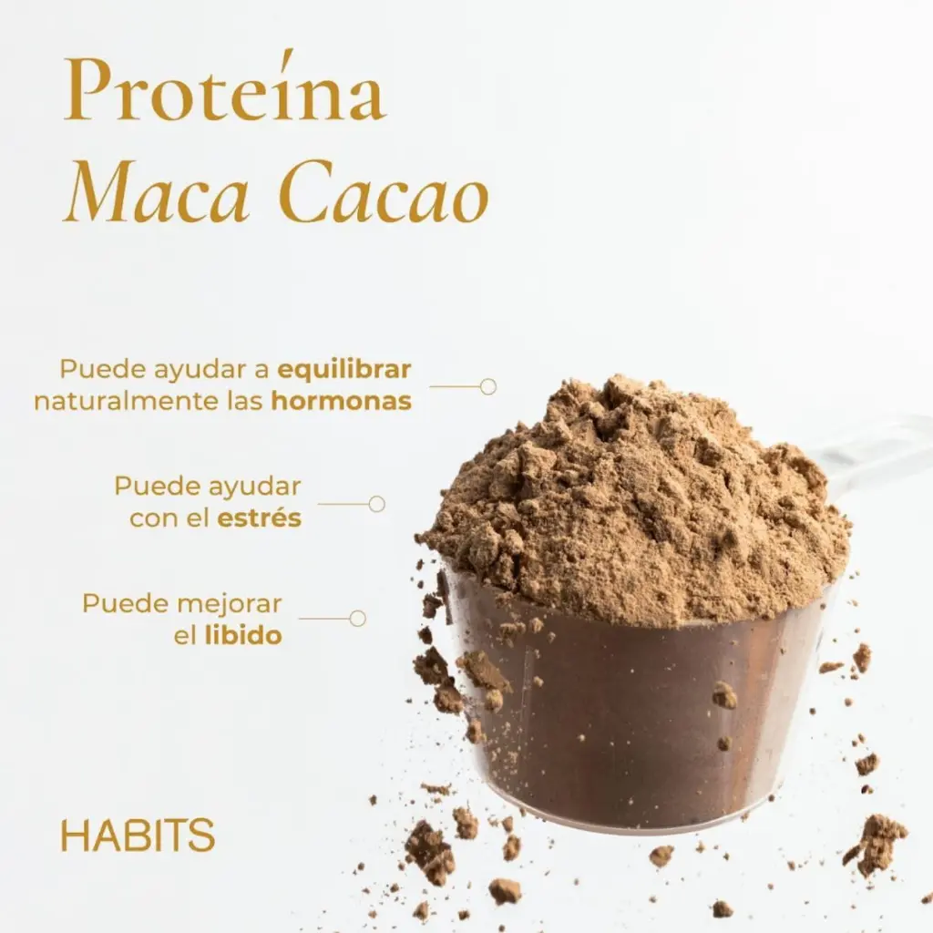 Diseño sin título (21).webp