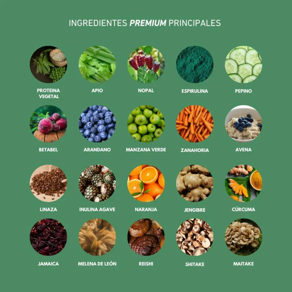 Diseño sin título (8).webp