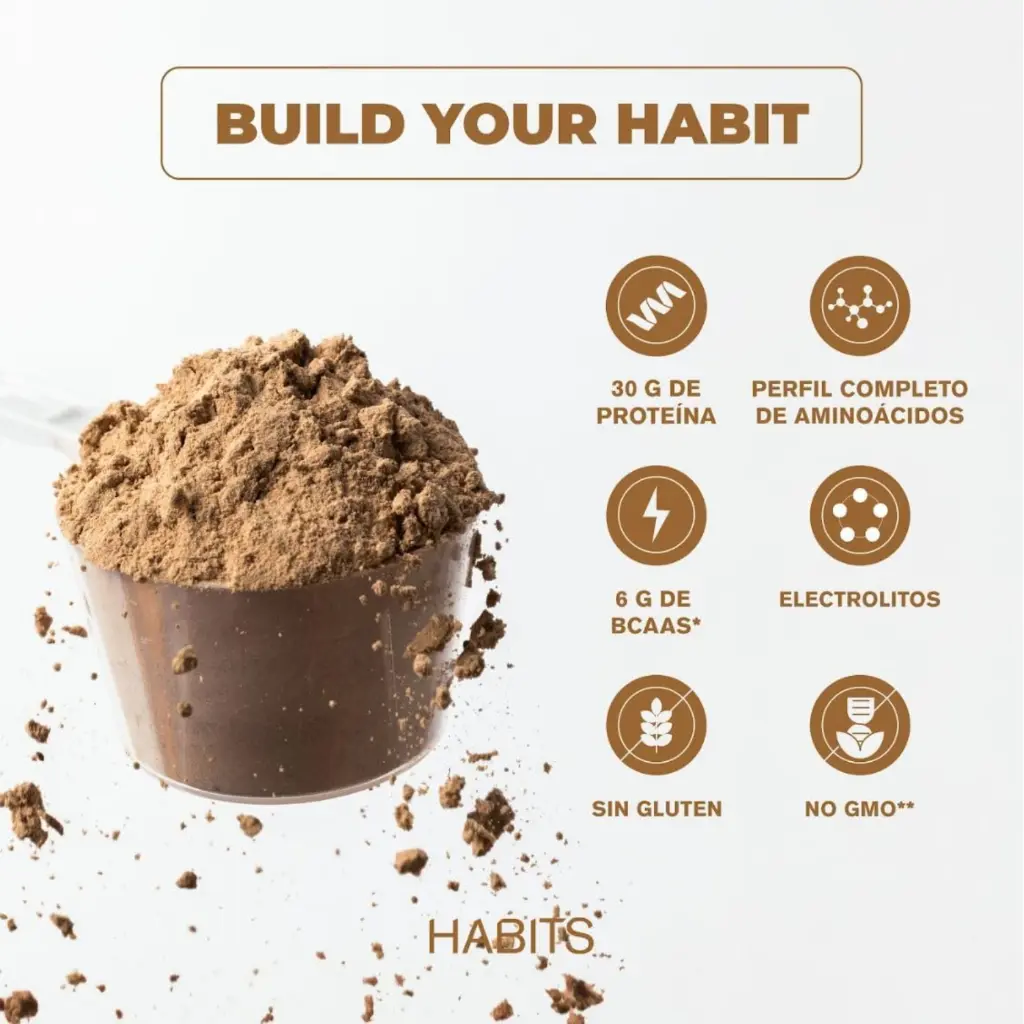 Diseño sin título (28).webp