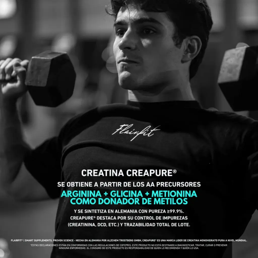 Diseño sin título (9).webp