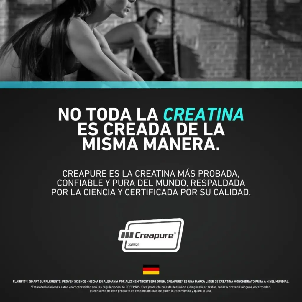 Diseño sin título (7).webp