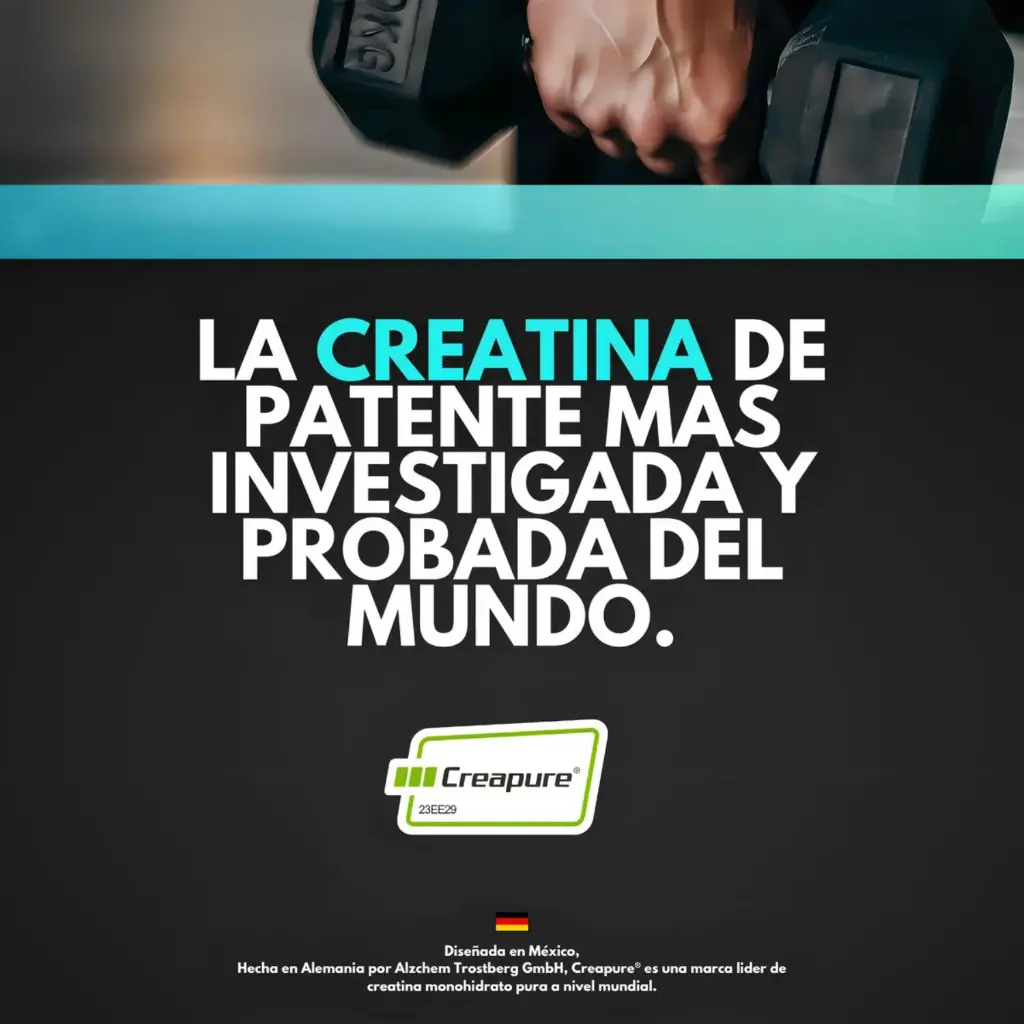 Diseño sin título (4).webp