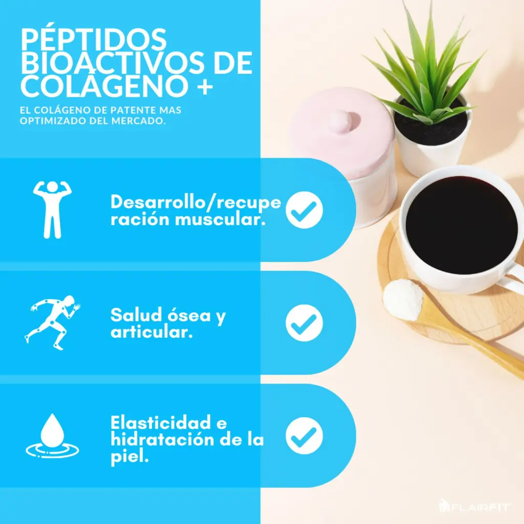 Diseño sin título (12).webp