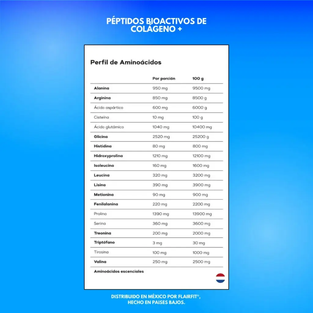 Diseño sin título (1).webp